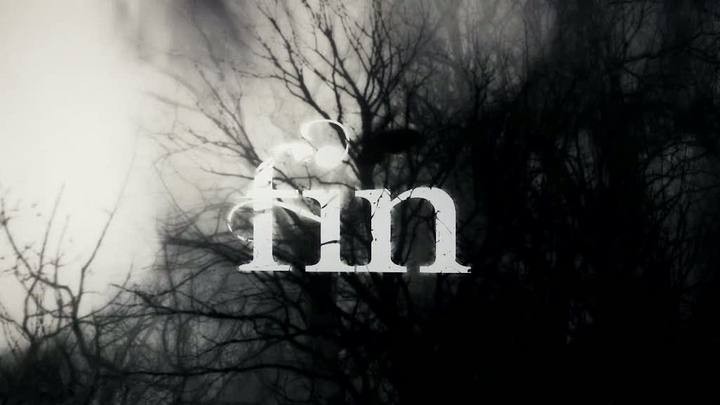 Fin